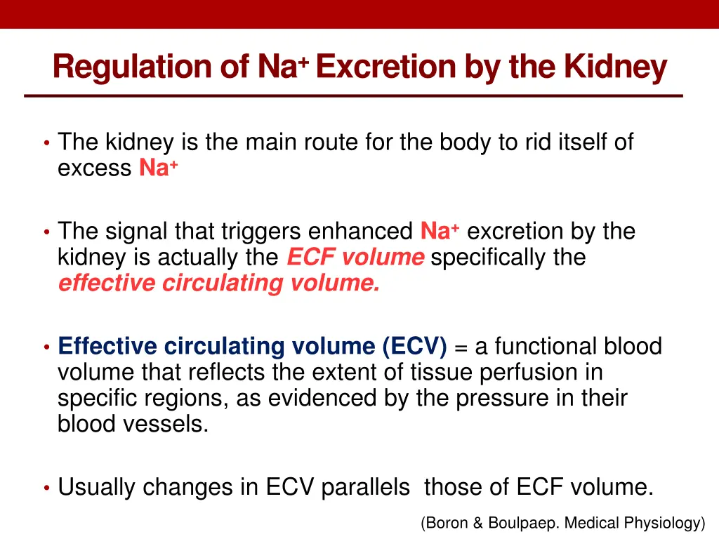 regulation of na excretion by the kidney