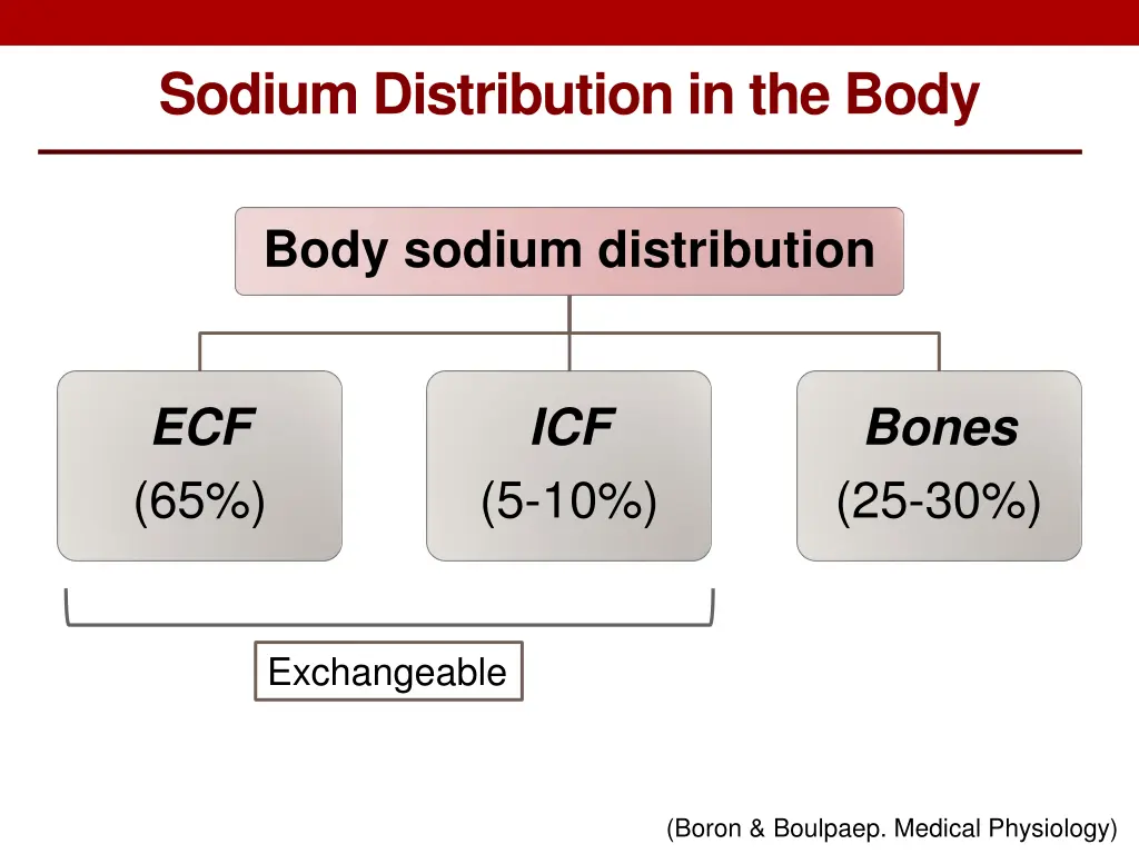 sodium distribution in the body