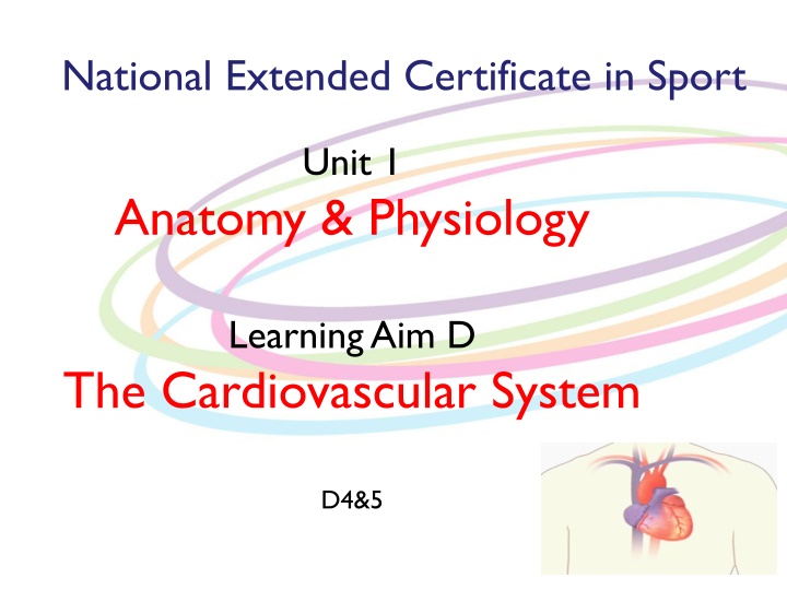 national extended certificate in sport