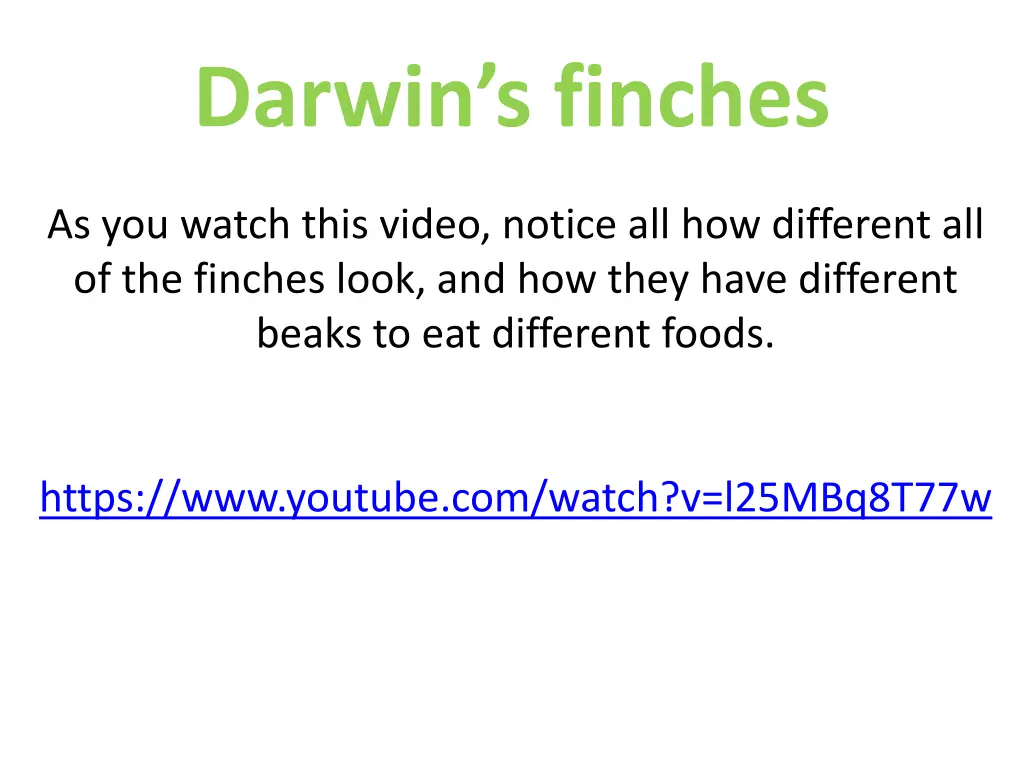 darwin s finches