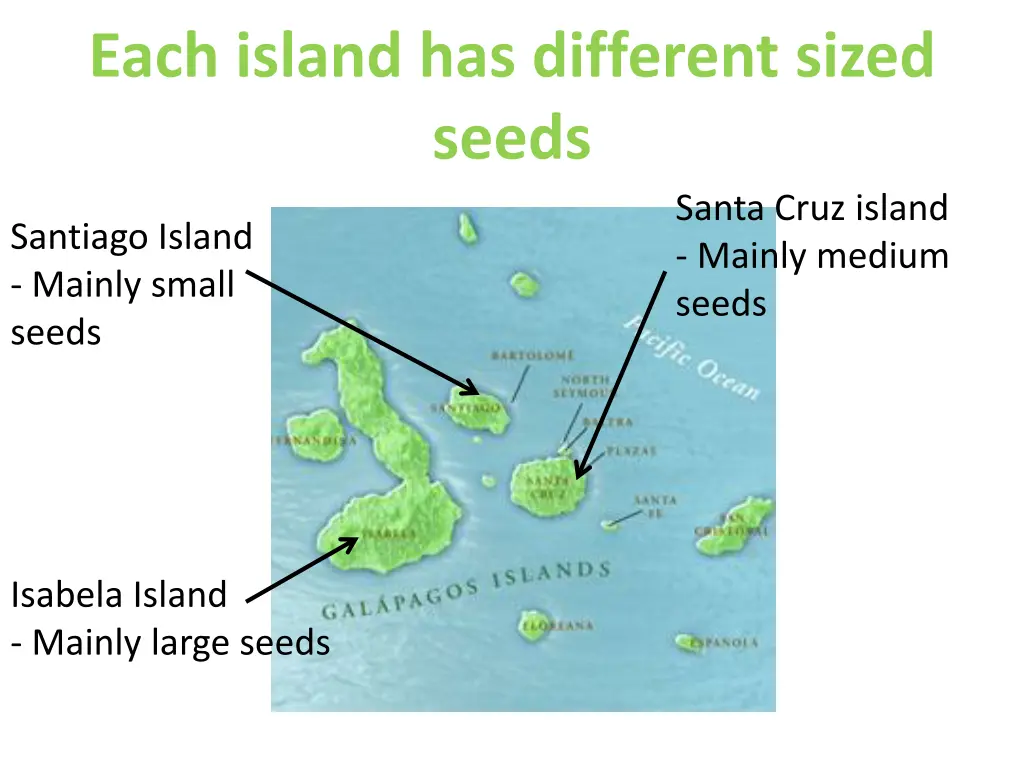 each island has different sized seeds