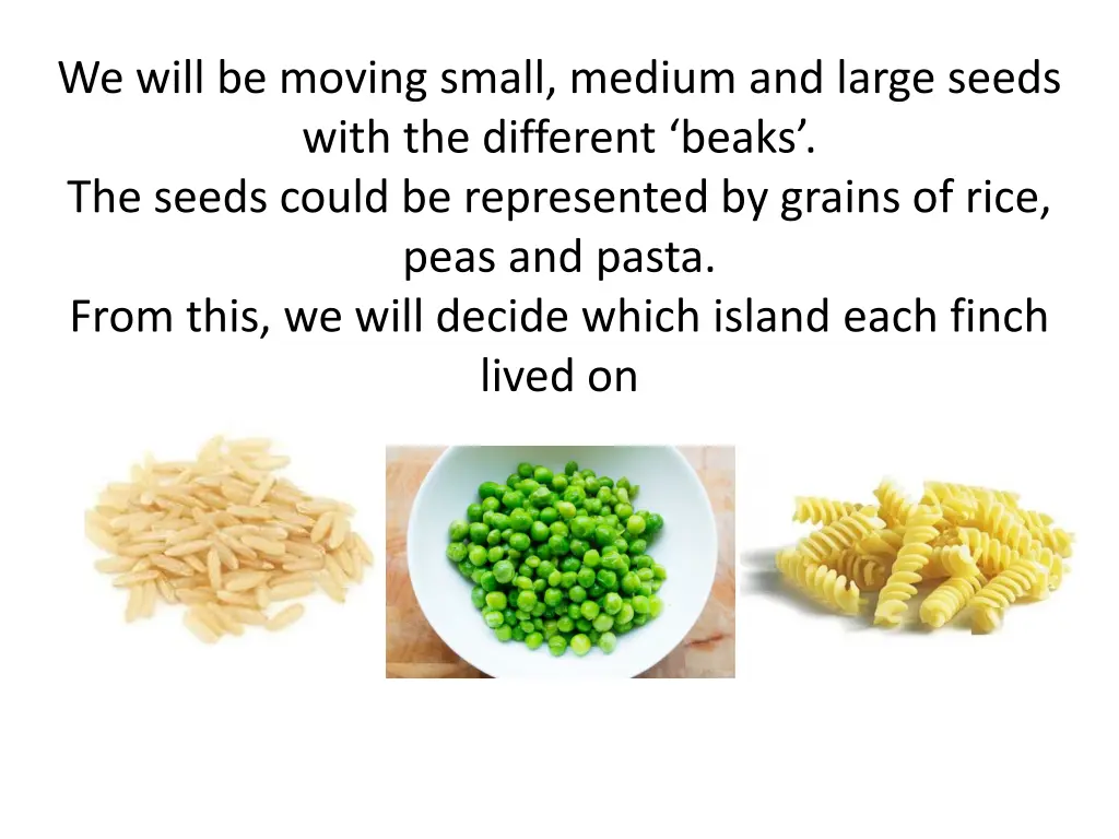 we will be moving small medium and large seeds