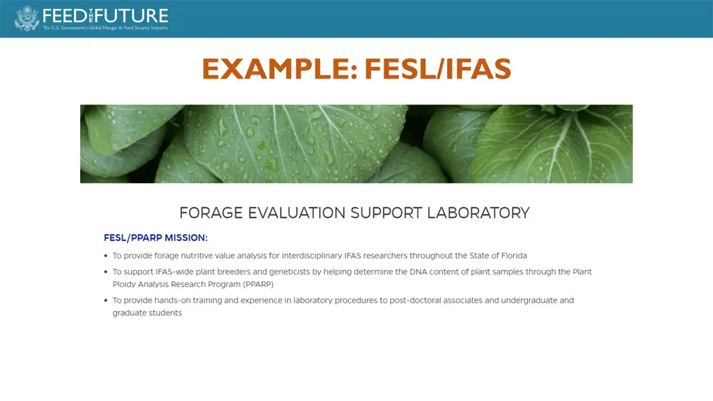 example fesl ifas