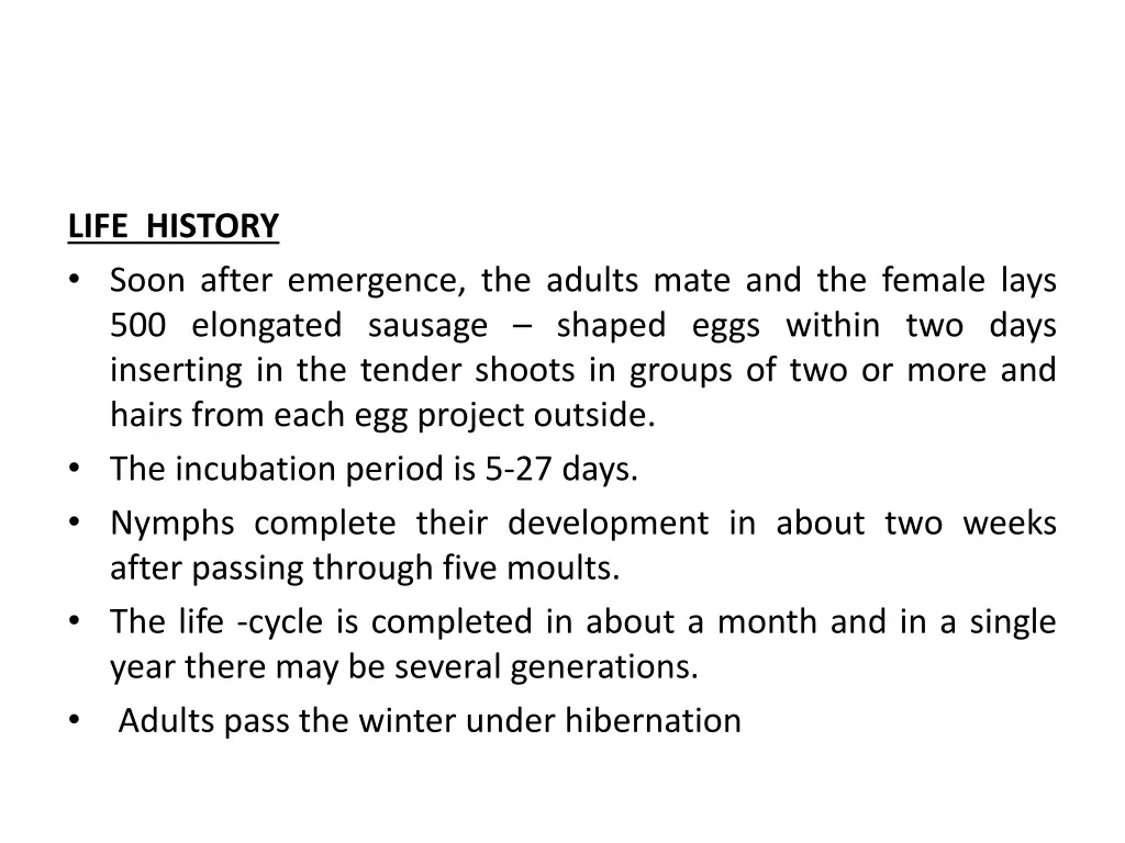 life history soon after emergence the adults mate