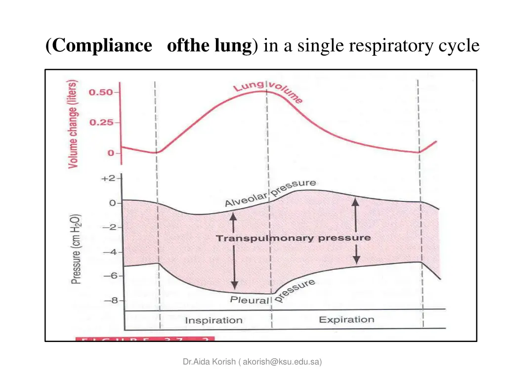 compliance ofthe lung in a single respiratory