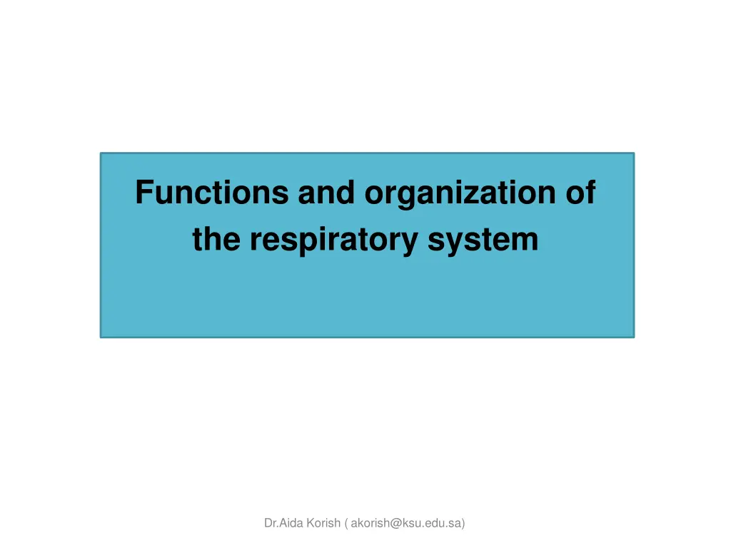 functions and organization of the respiratory