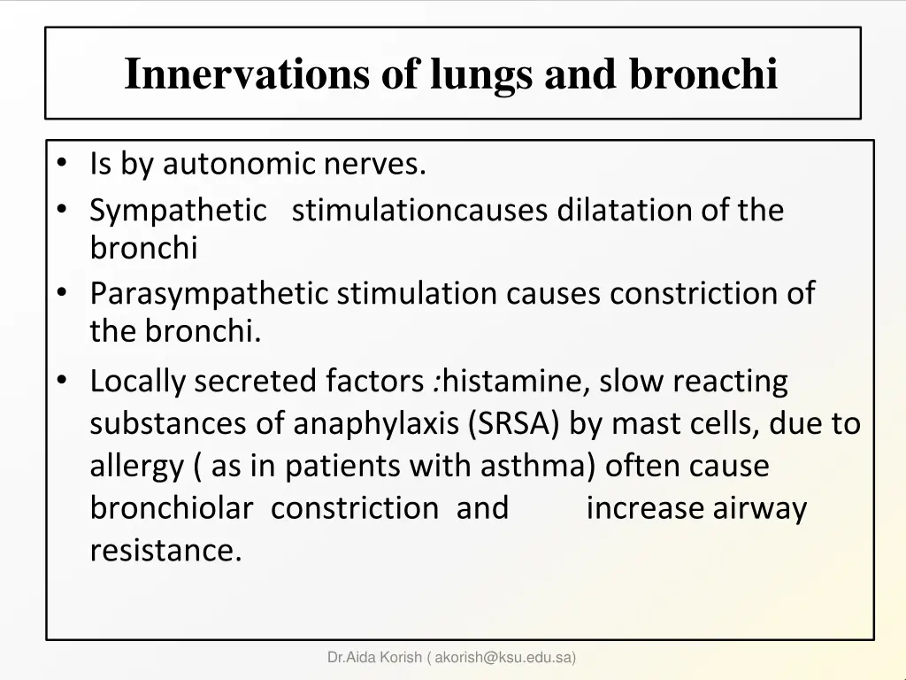 innervations of lungs and bronchi