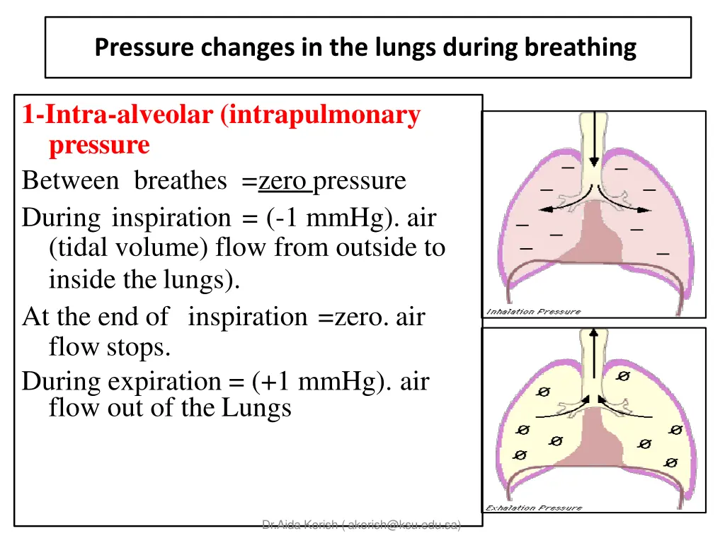 pressure changes in the lungs during breathing