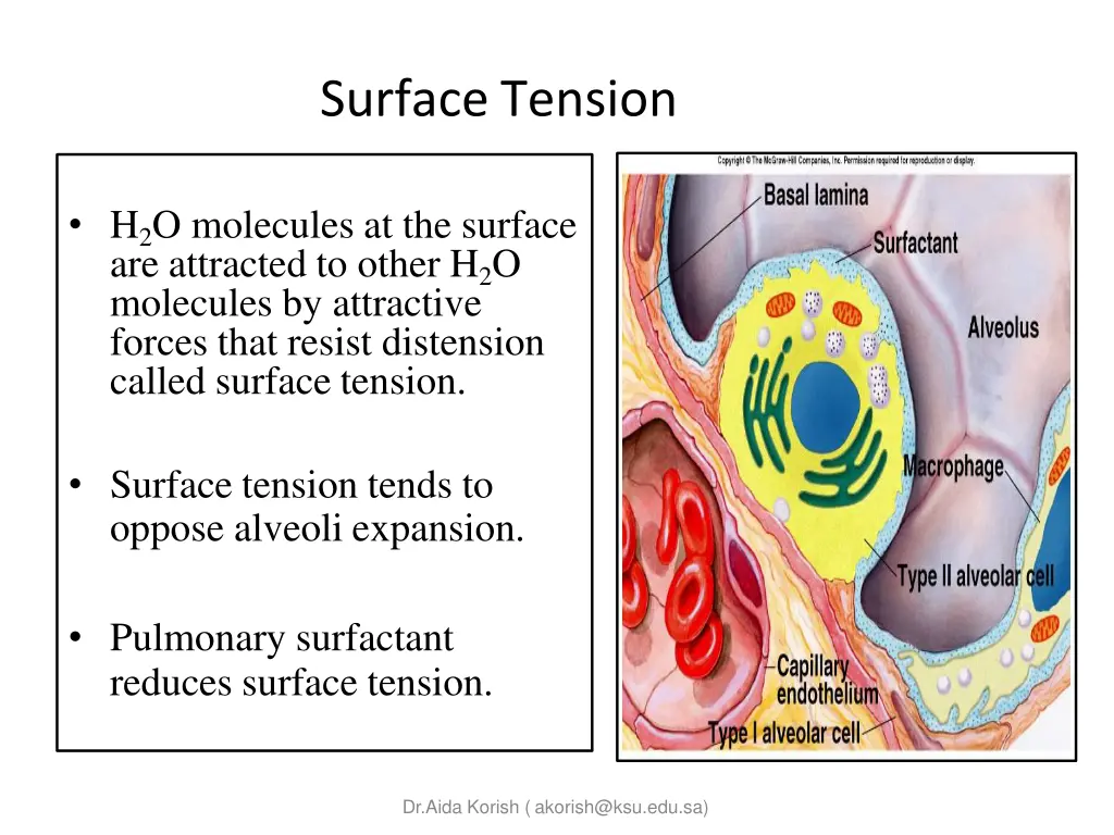 surface tension