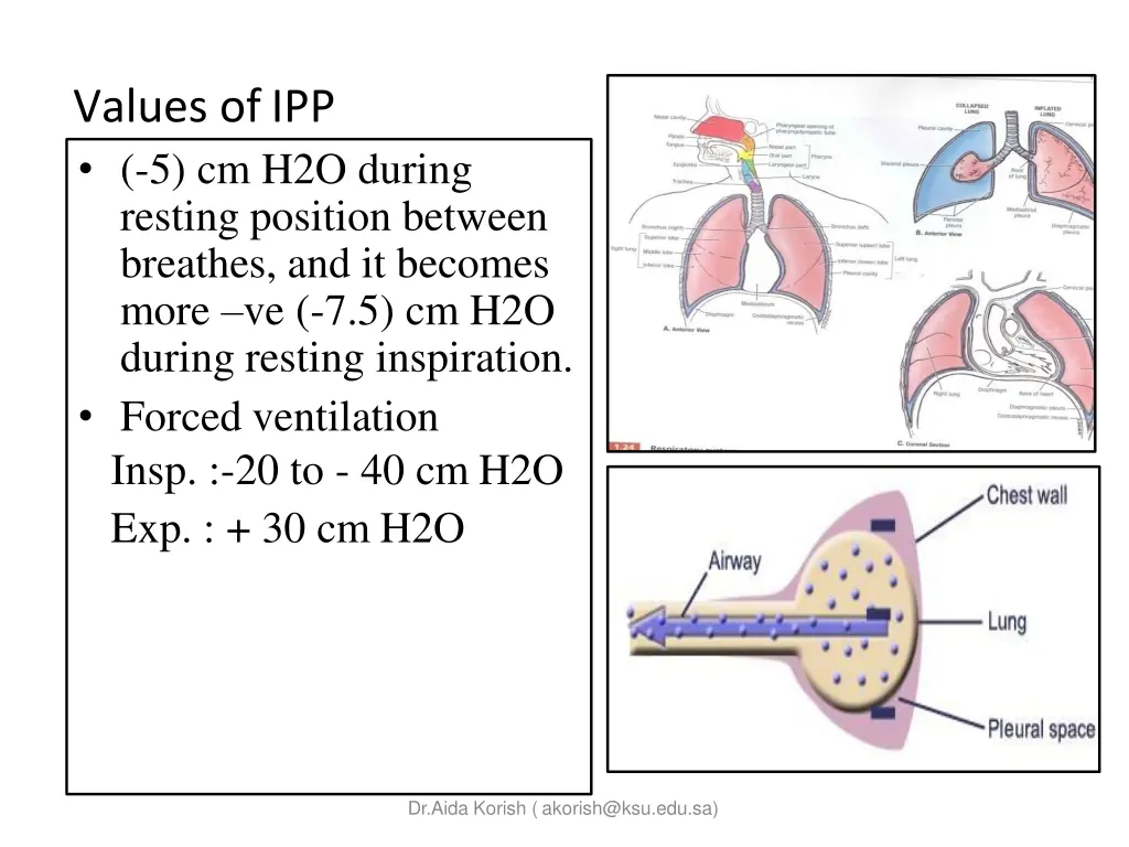 values ofipp 5 cm h2o during resting position