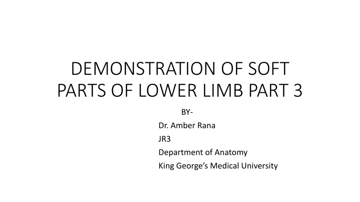 demonstration of soft parts of lower limb part 3