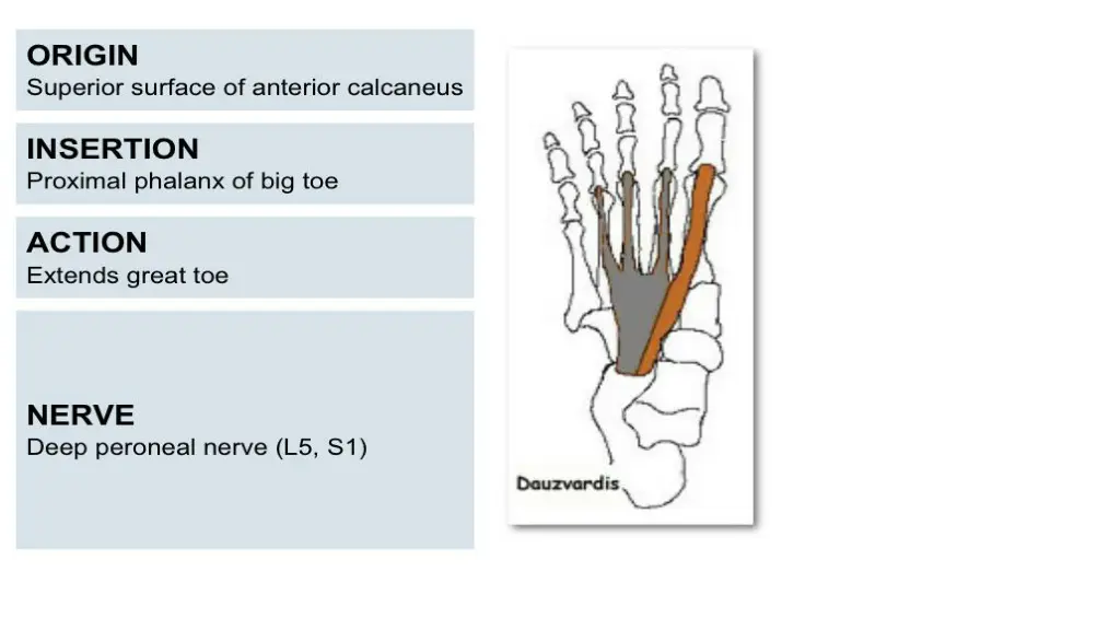 slide13