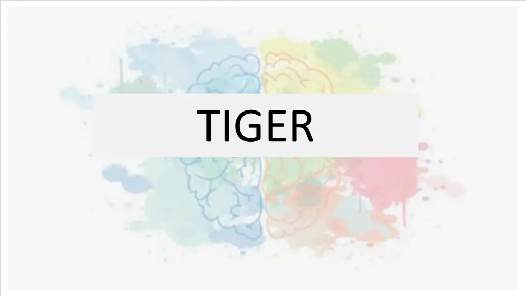 tiger