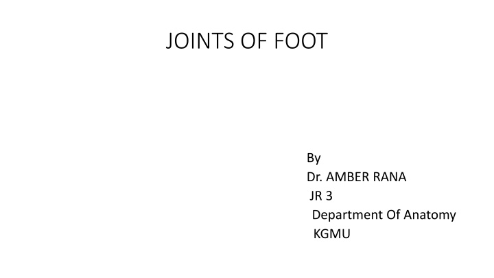 joints of foot