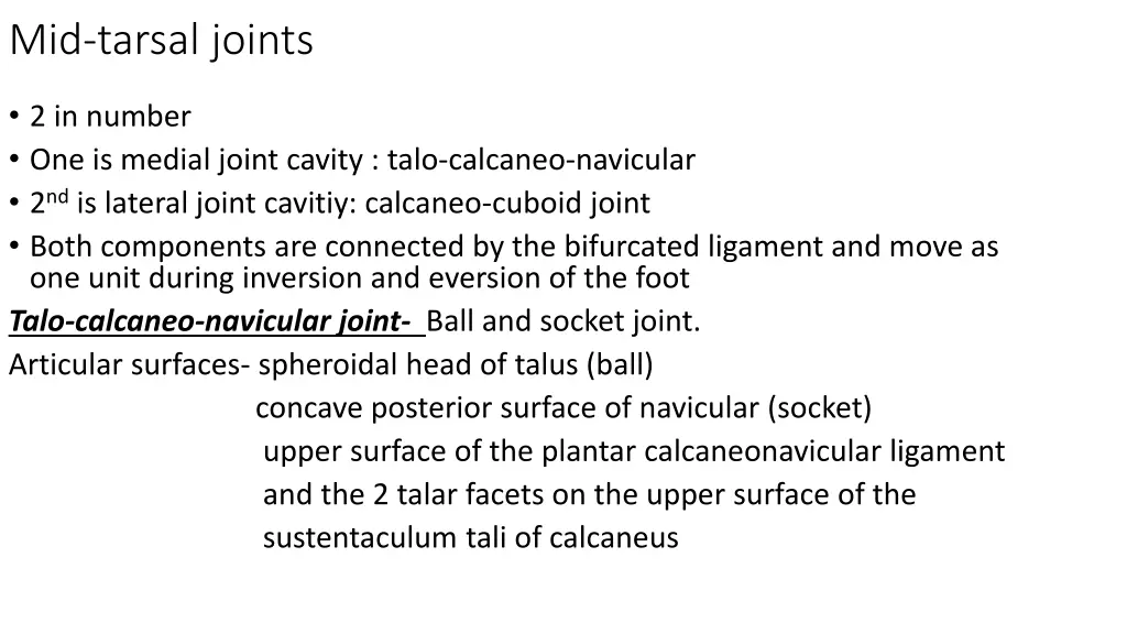 mid tarsal joints