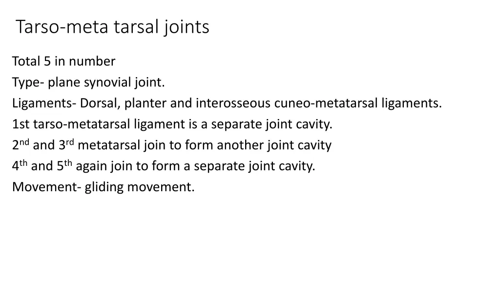 tarso meta tarsal joints