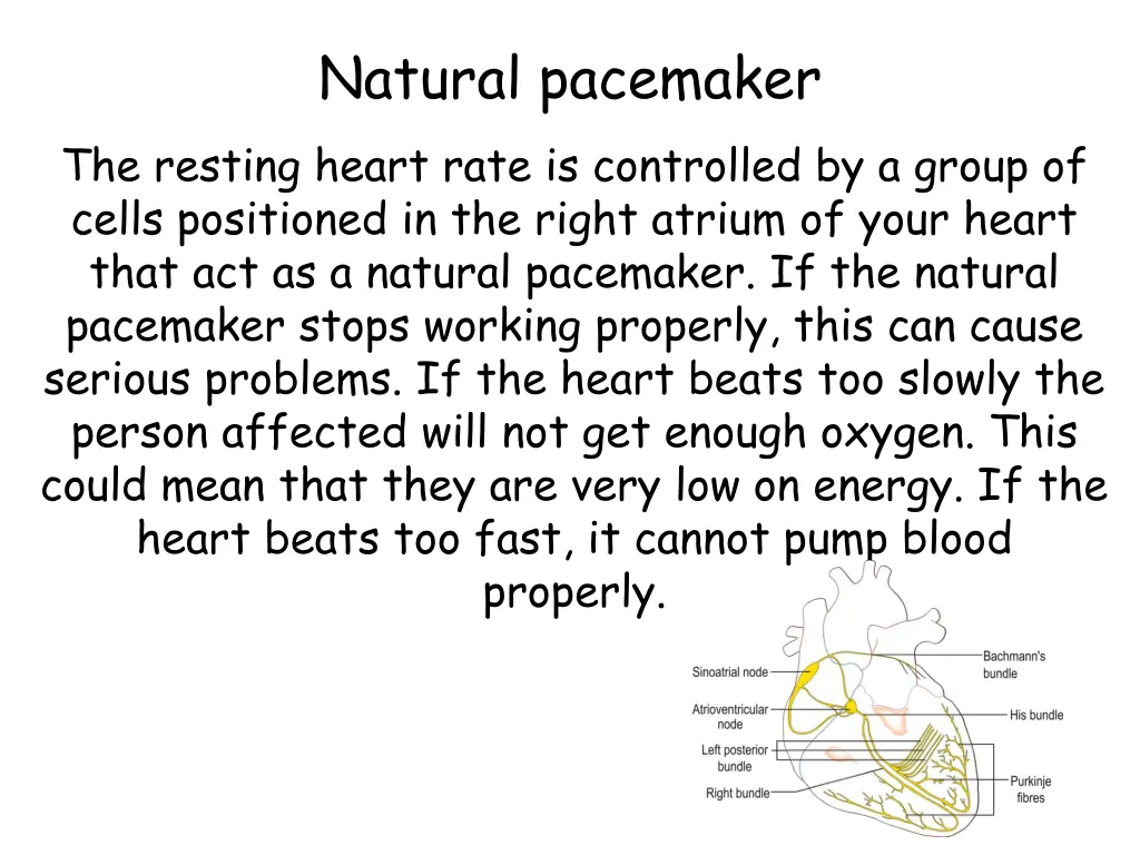 natural pacemaker