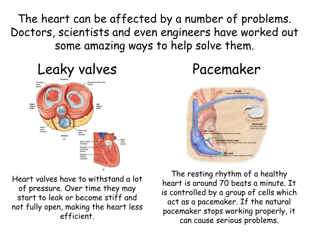 the heart can be affected by a number of problems