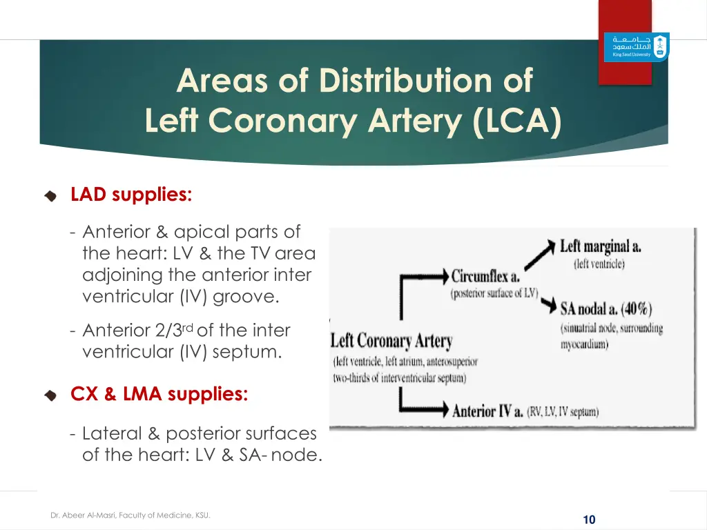 areas of distribution of left coronary artery lca