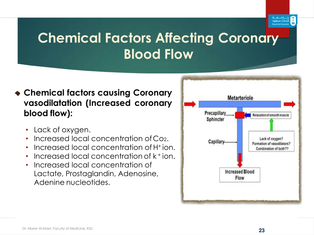 chemical factors affecting coronary blood flow