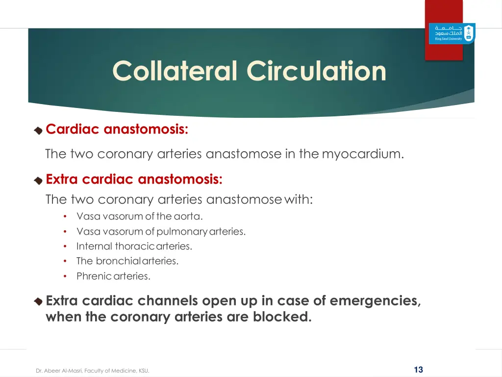 collateral circulation