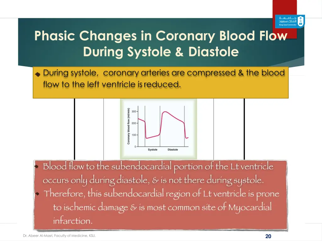 phasic changes in coronary blood flow during