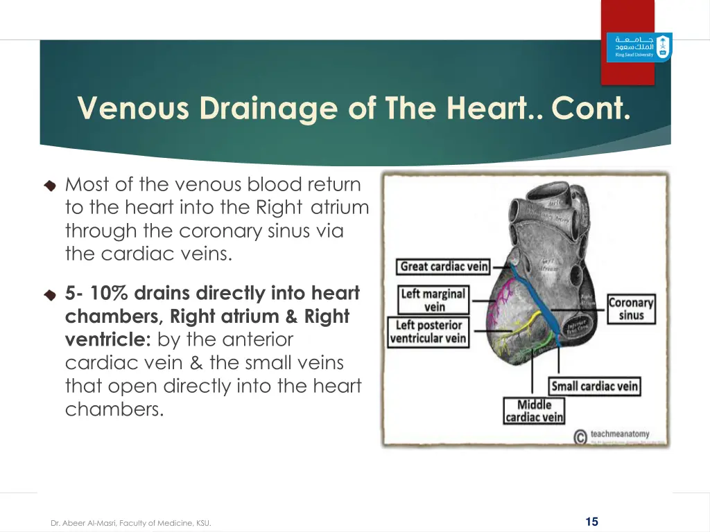 venous drainage of the heart cont