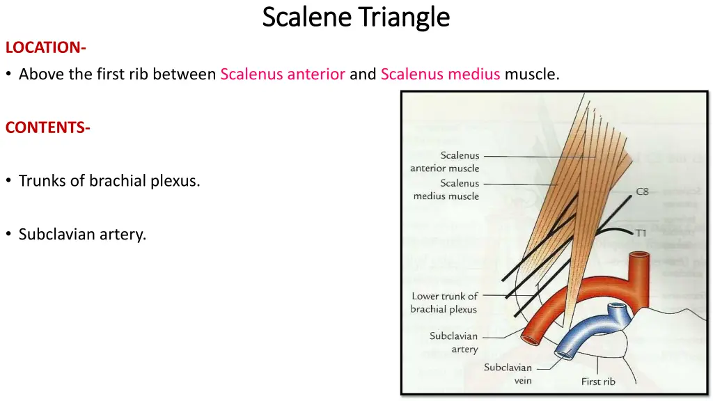 scalene triangle scalene triangle