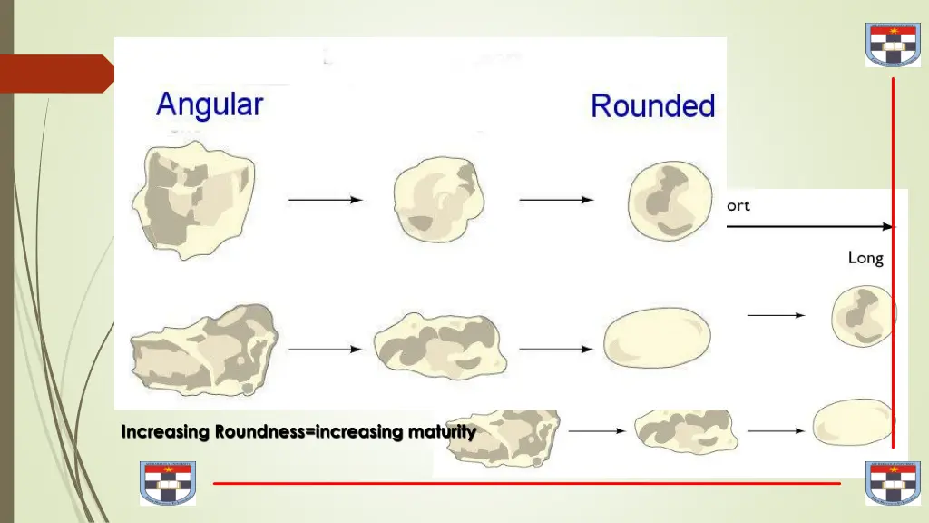 increasing roundness increasing maturity