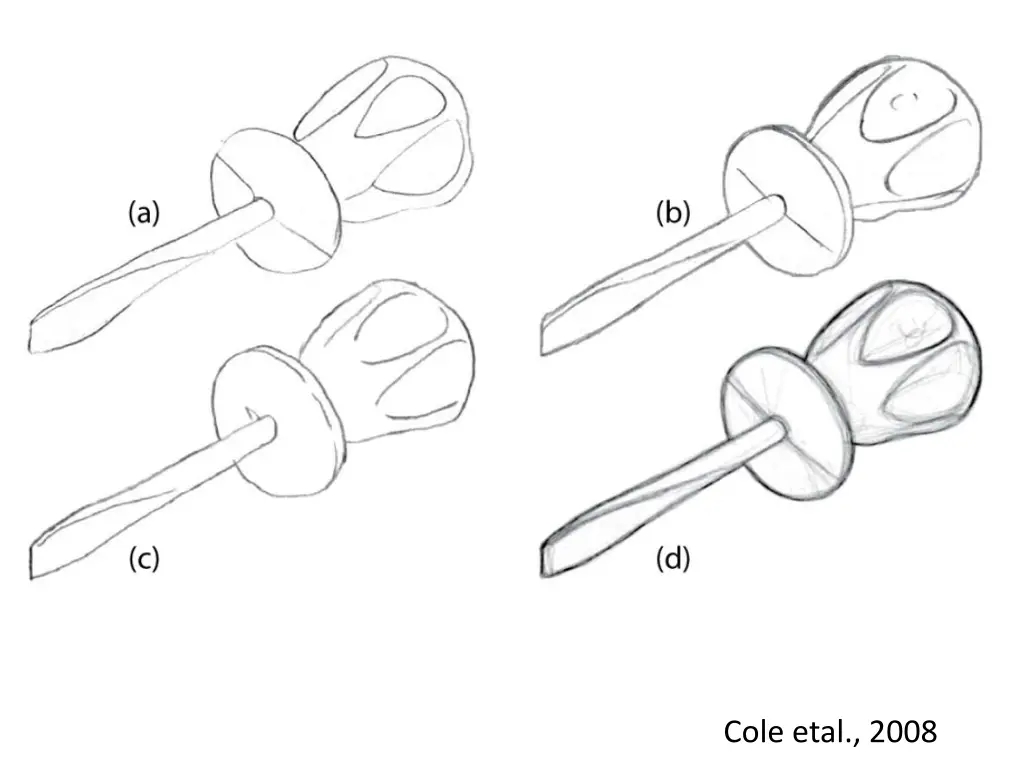 cole etal 2008