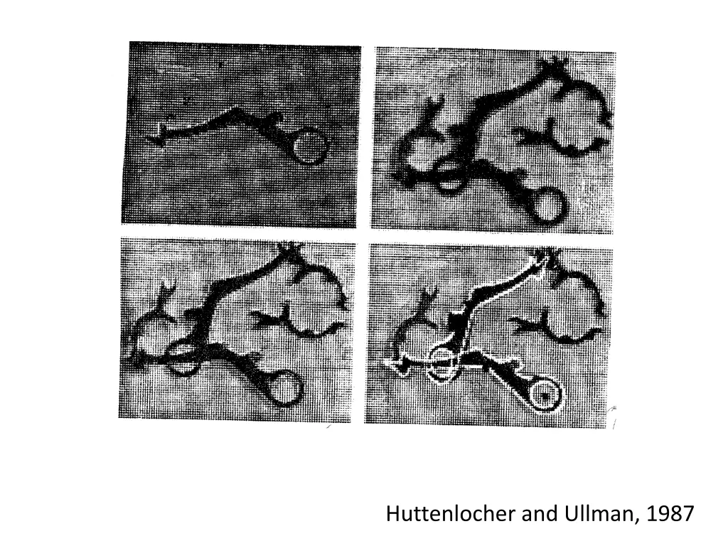 huttenlocher and ullman 1987