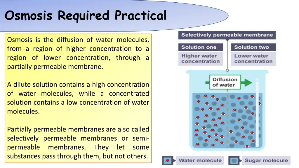 osmosis required practical 1