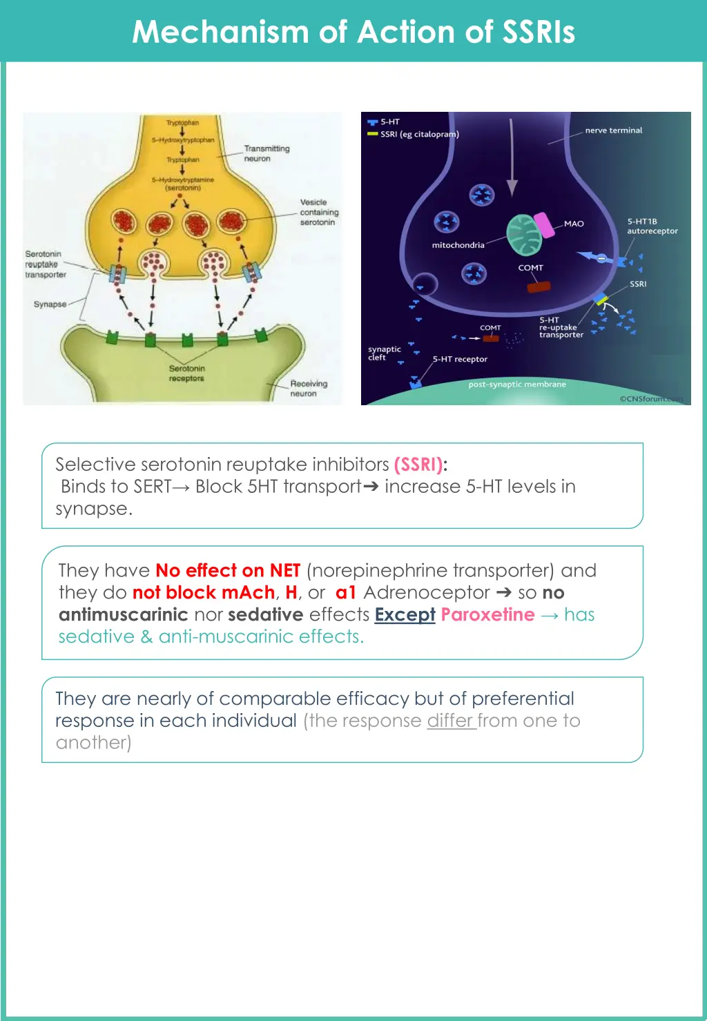 mechanism of action of ssris