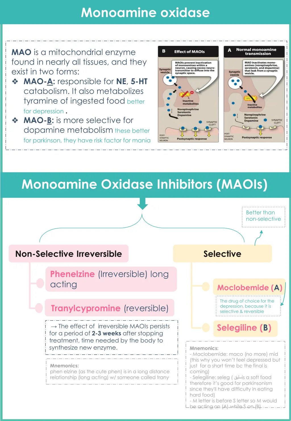 monoamine oxidase