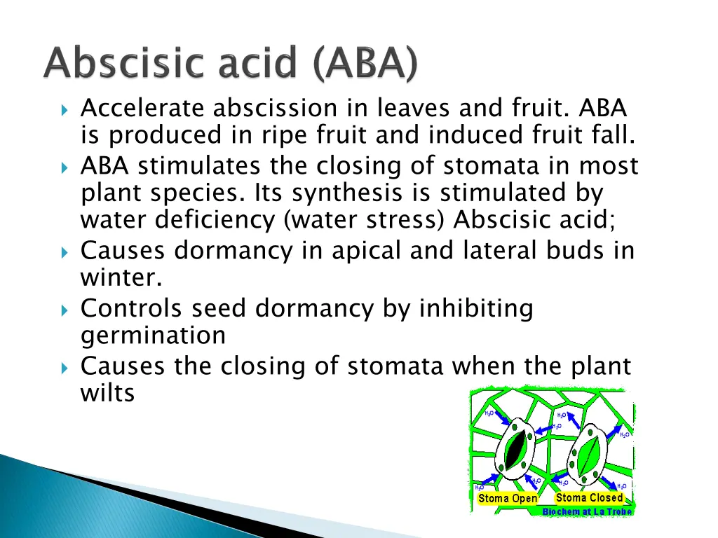 accelerate abscission in leaves and fruit