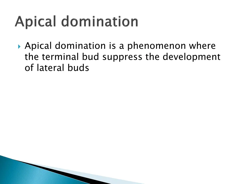 apical domination is a phenomenon where