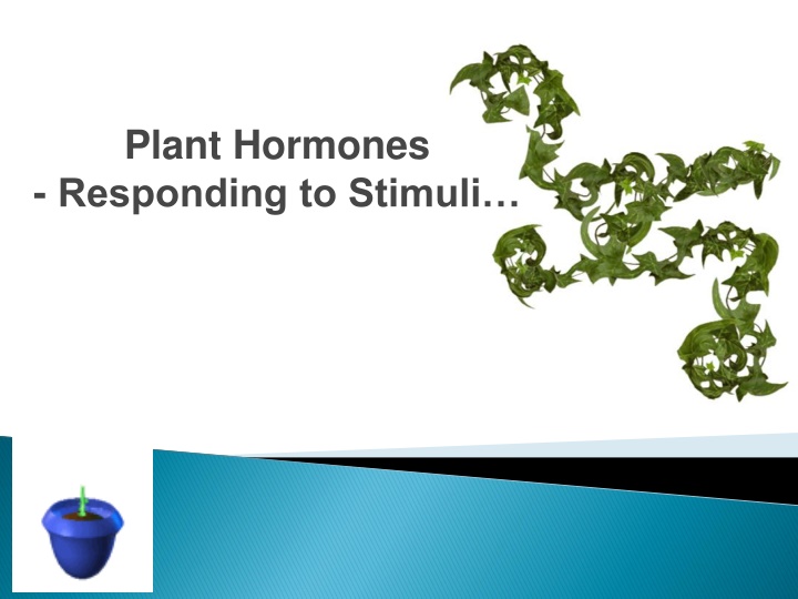 plant hormones responding to stimuli