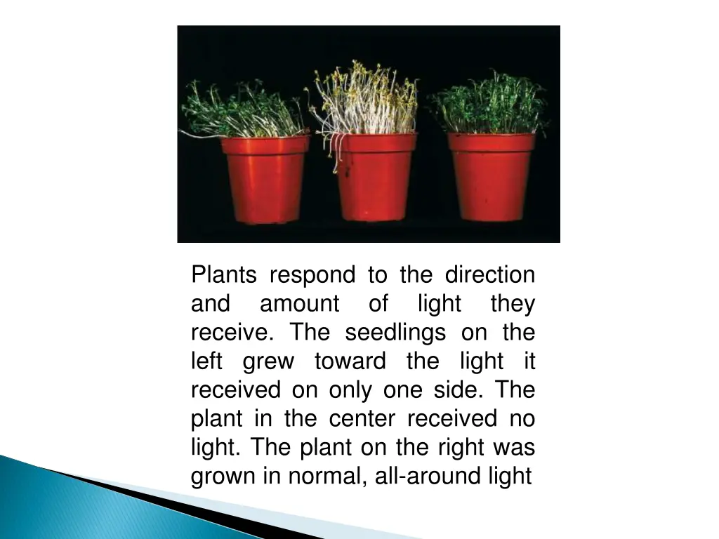 plants respond to the direction and amount