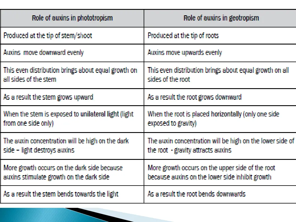 slide13