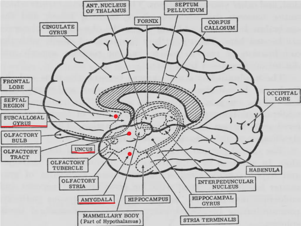 slide3