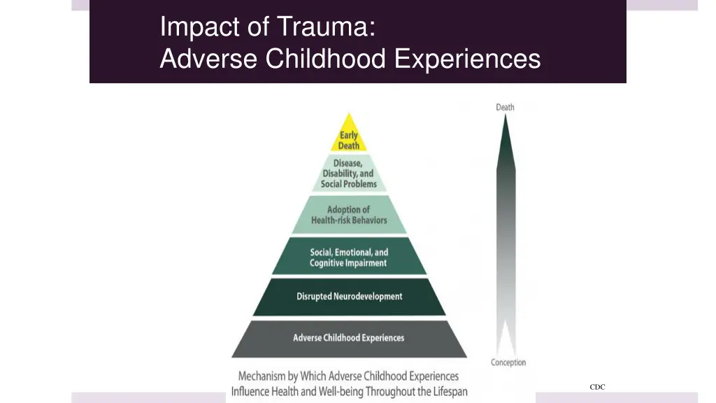 impact of trauma adverse childhood experiences