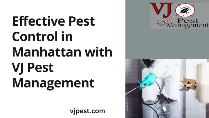 effective pest control in manhattan with vj pest