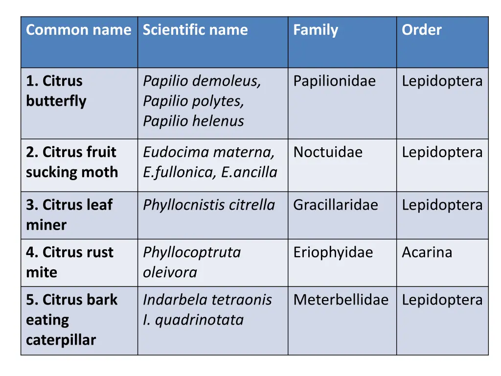 common name scientific name