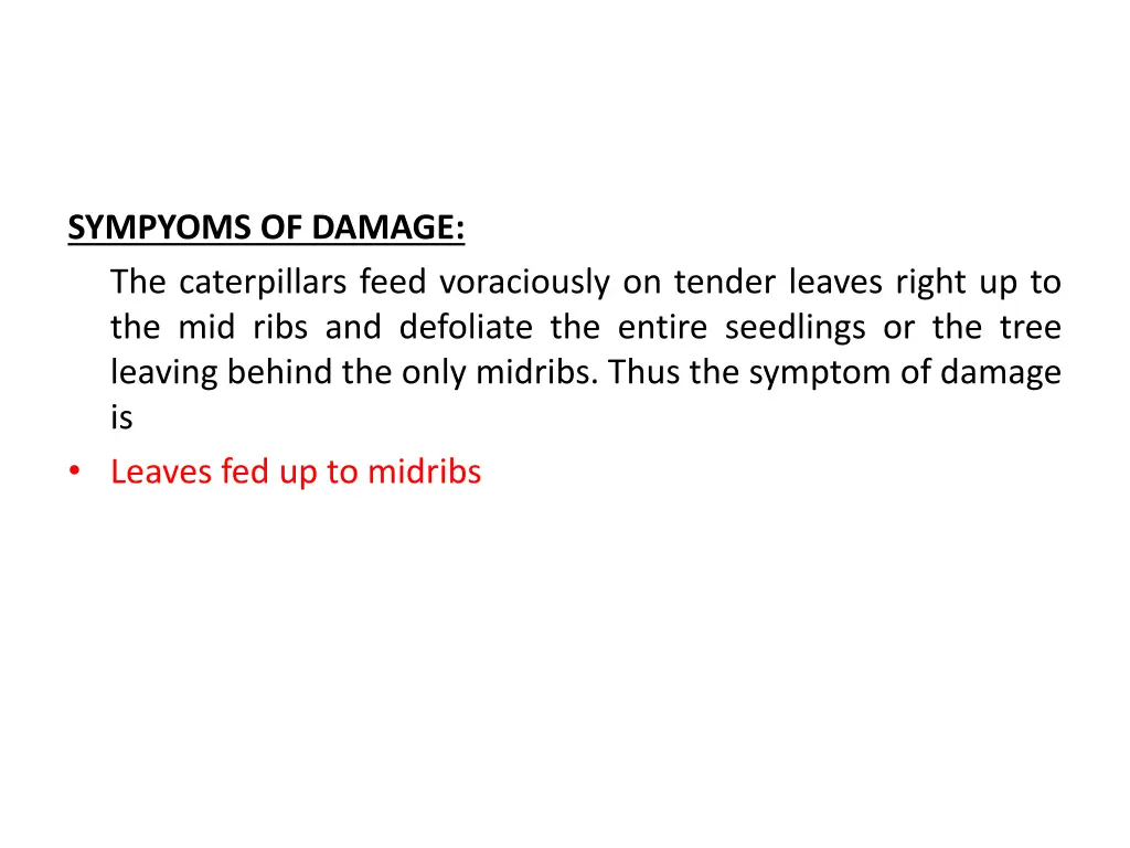 sympyoms of damage the caterpillars feed