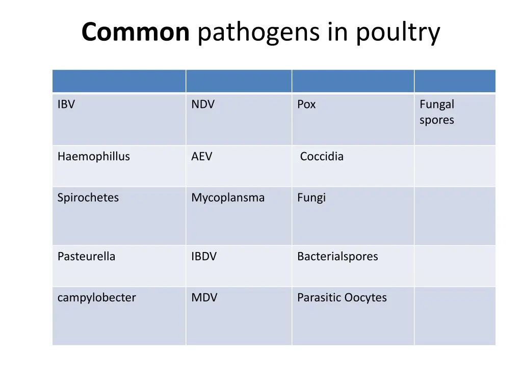 common pathogens in poultry