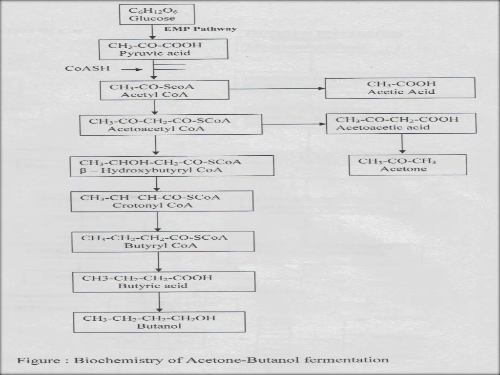 slide14