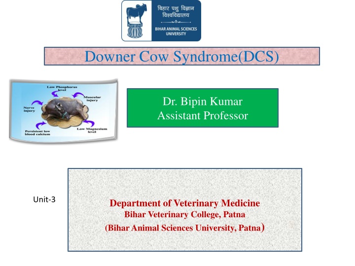 downer cow syndrome dcs