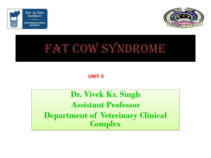 fat cow syndrome