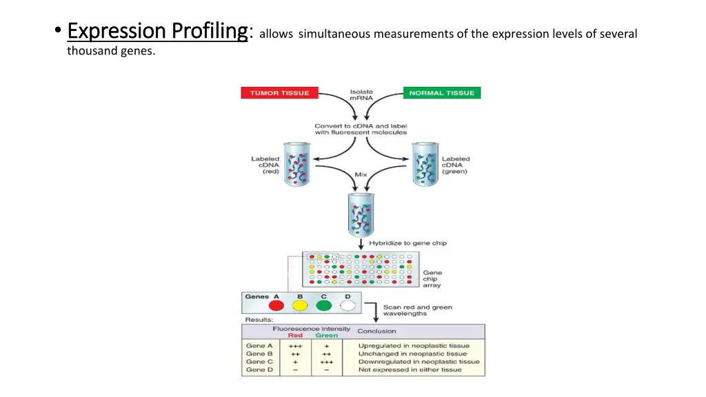 expression profiling expression profiling allows