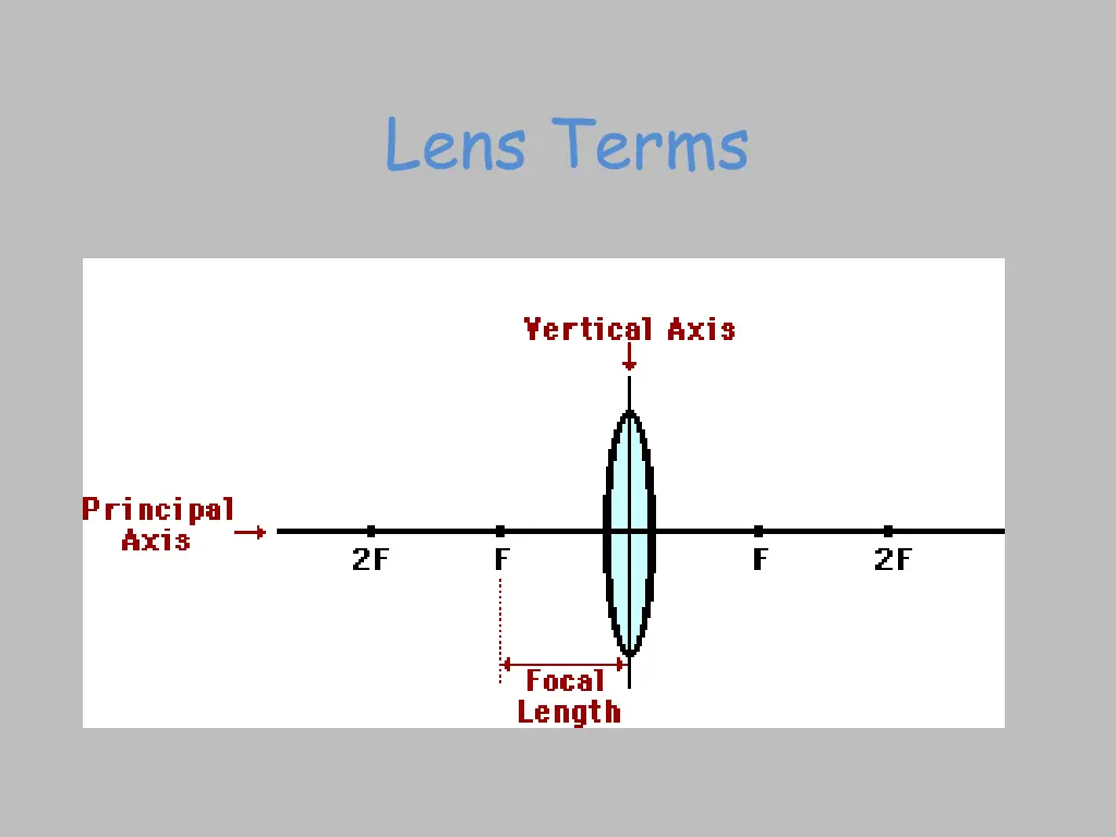 lens terms